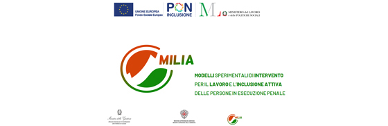 MILIA Banner 560x182