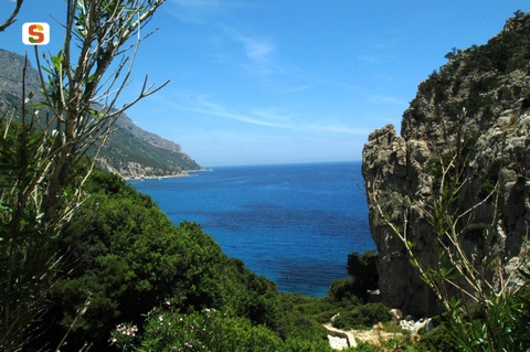 Baunei, costa